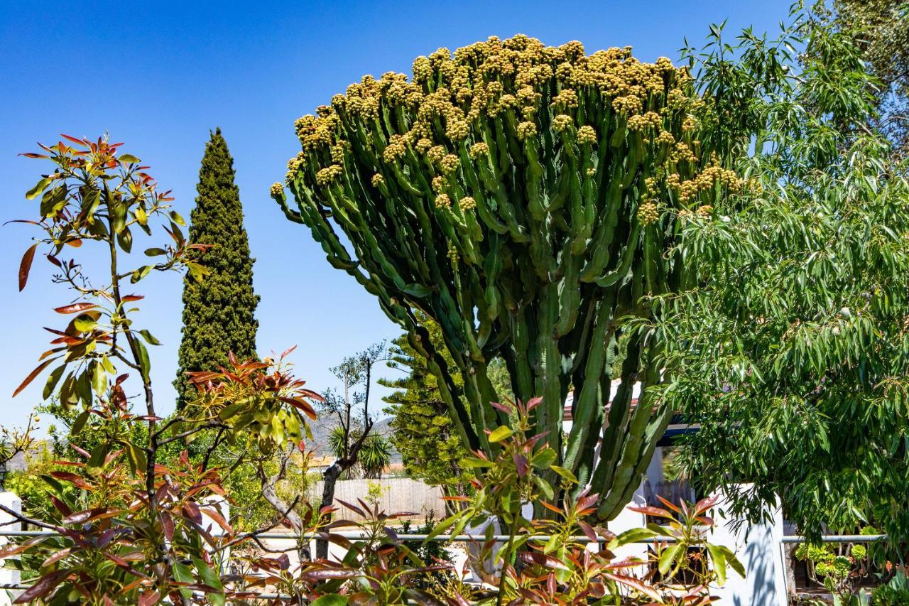 The Palms Boutique Resort Malaga - Adults Only Alhaurín de la Torre Buitenkant foto