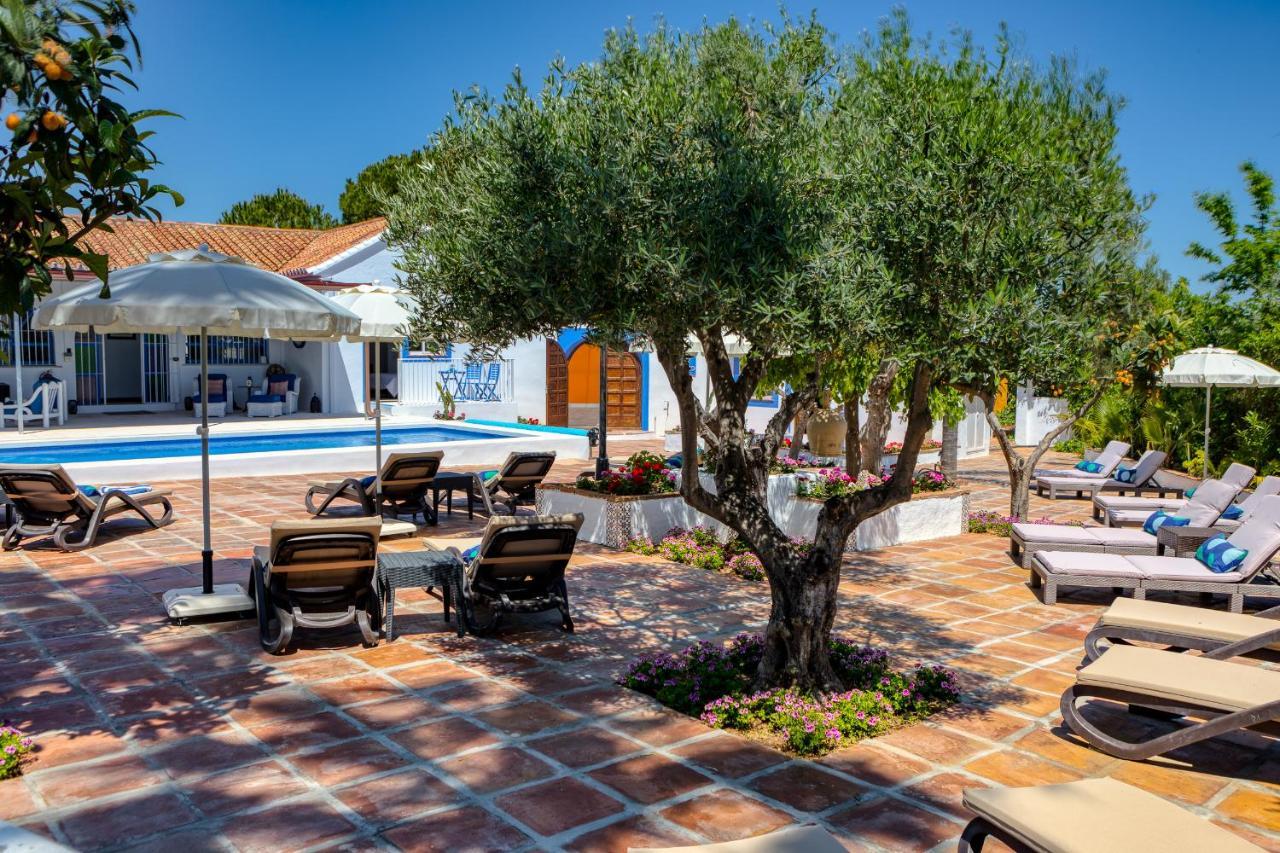 The Palms Boutique Resort Malaga - Adults Only Alhaurín de la Torre Buitenkant foto